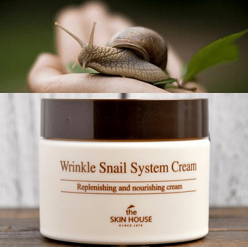 The Skin House Антивозрастной крем на основе муцина улитки "Wrinkle Snail System", Wrinkle Snail System Cream,  	50мл,  